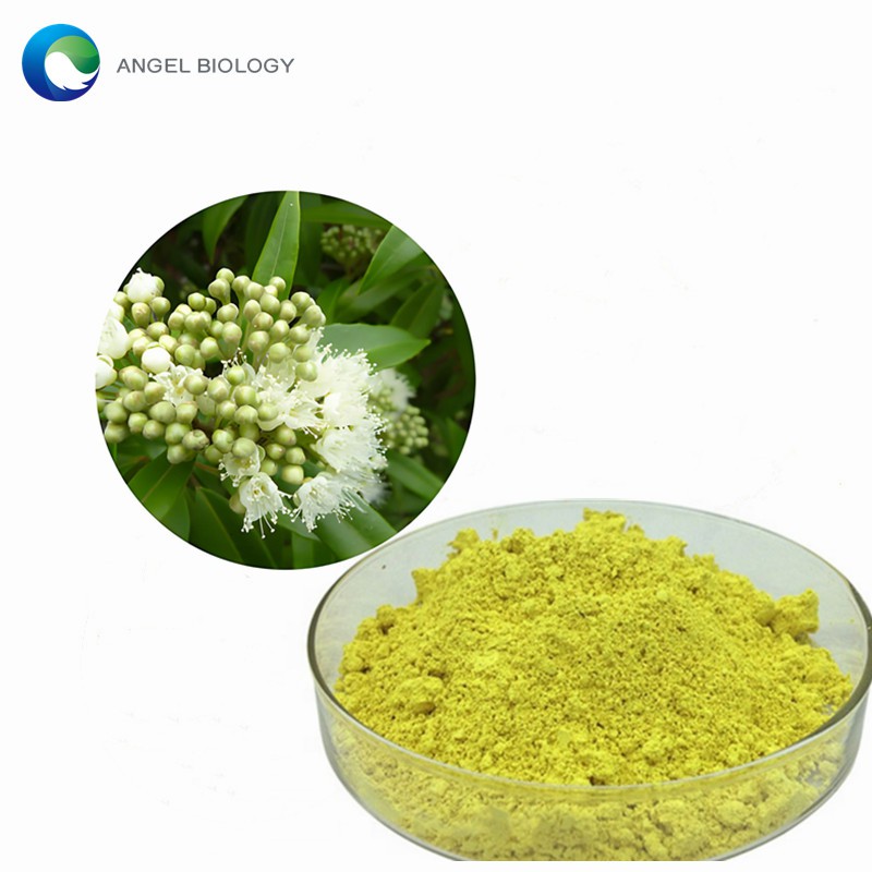 Lemon Myrtle Extract